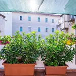 Appartamento Via Speranzella